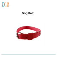 Kumar - Dog Belt